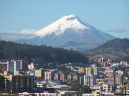Amazon Quito