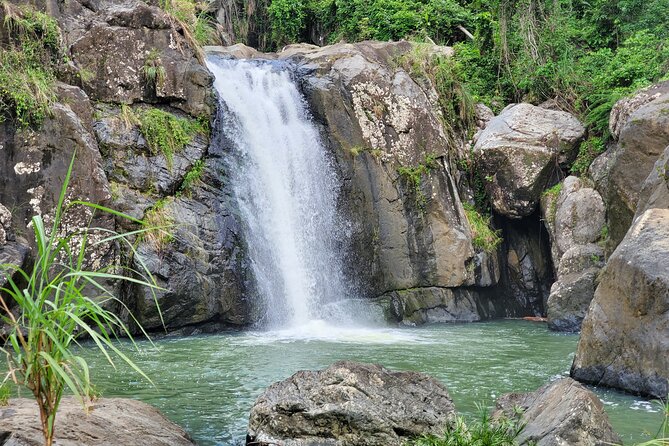 El Yunque Rainforest and Waterfalls Tour
