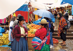 Amazon Otavalo Indian Market