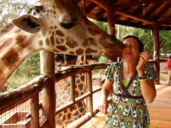 Kenya giraffe center