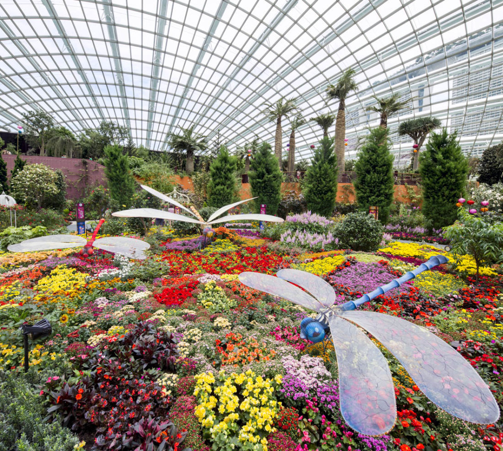 Gardens by the Bay flower dome
