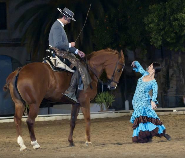 Spain Cordoba Horse Show