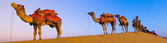 india image2 - slideshow