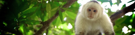 Costa rica vacation information image1 - slideshow