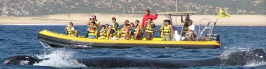 Puerto Vallarta-Slideshow4