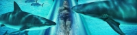 Atlantis Resort trip - slideshow5