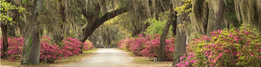 Savannah Georgia Singles Getaway Vacation with a group of solo and