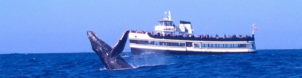 San Diego - Slideshow4