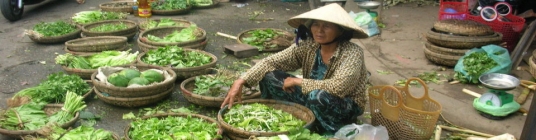 Past Trips image4 - slideshow