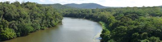 Australia New Years image2 - slideshow