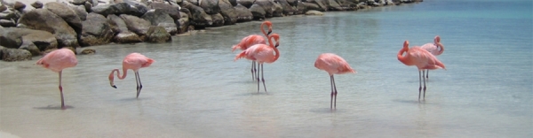 Southern Caribbean Singles Cruise-slidehow1