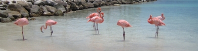 Southern Caribbean Singles Cruise-slidehow1